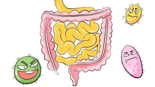 1524271876685519.jpg 09.jpg